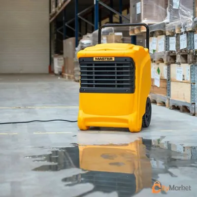 Dehumidifier drying moisture